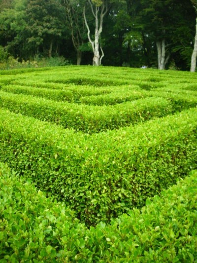 Natives Decor Gardenworld