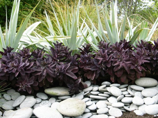 Natives Decor Gardenworld