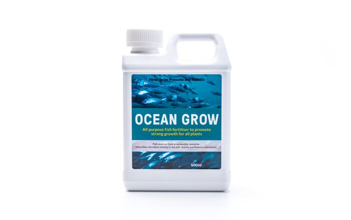 ican Oceangrow