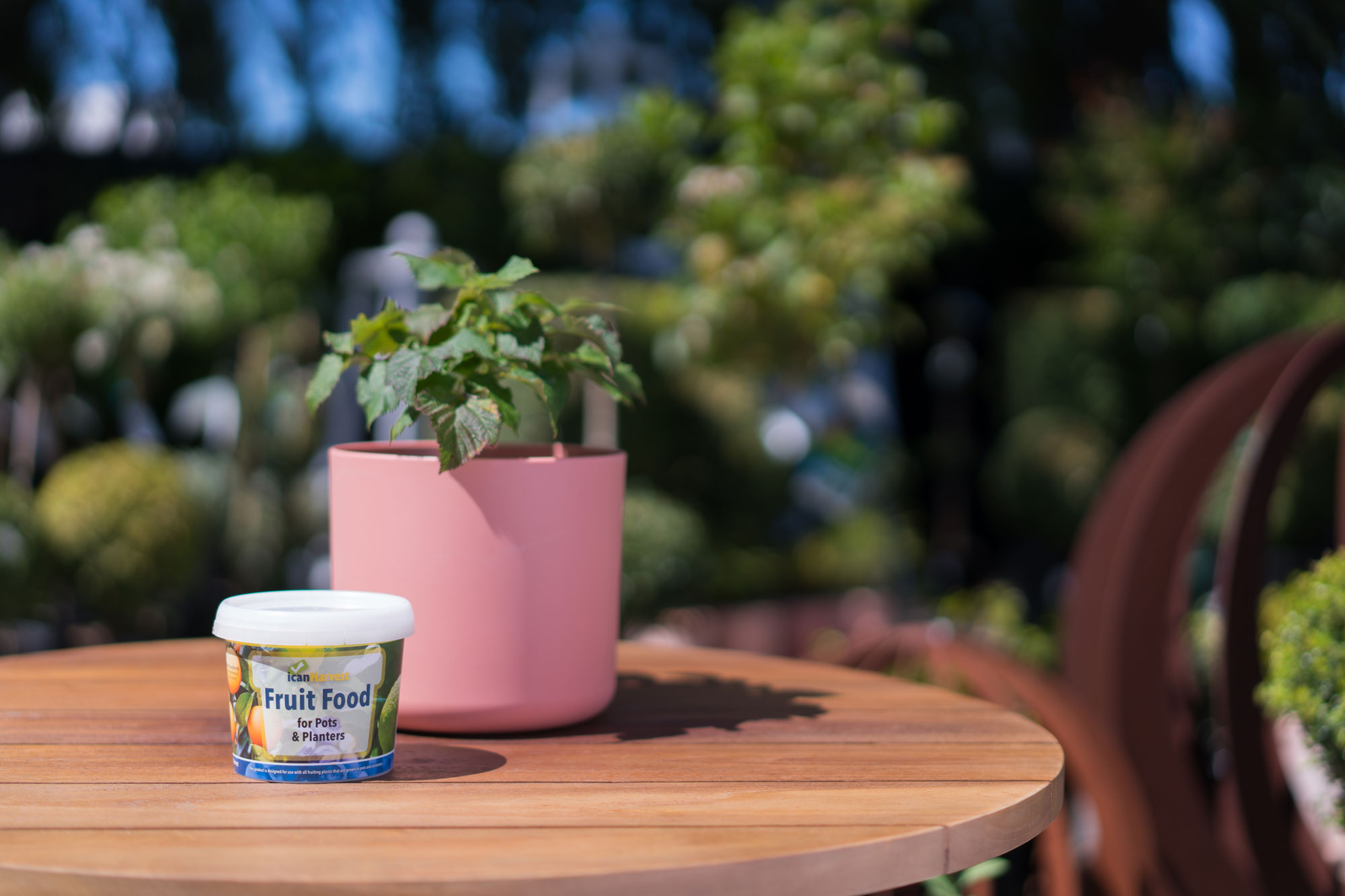 ican Fruit Food for Pots and Planters